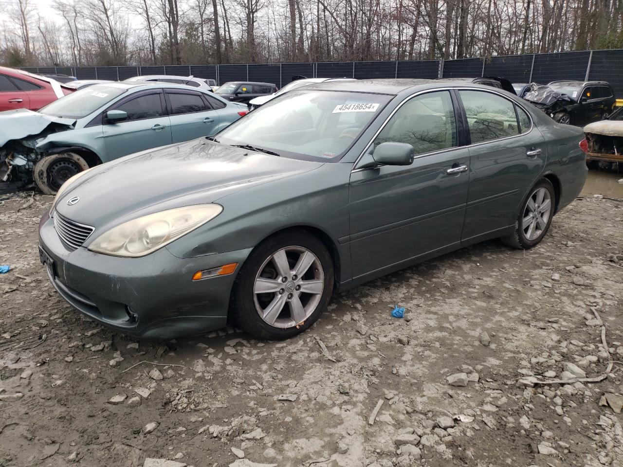 LEXUS ES 2005 jthba30g755082855