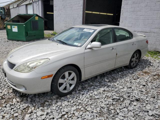 LEXUS ES330 2005 jthba30g755090535