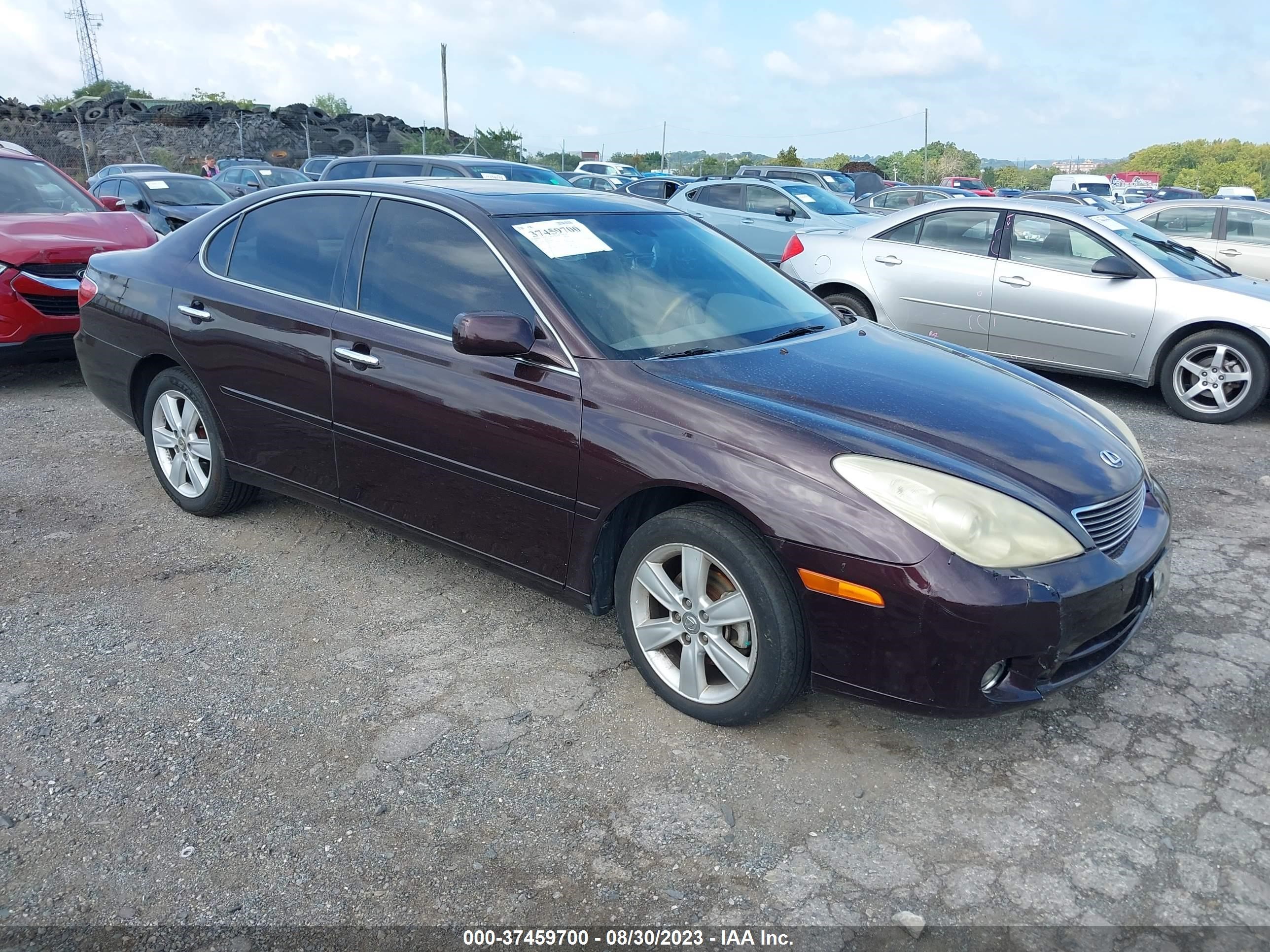 LEXUS ES 2005 jthba30g755106054