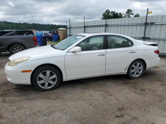 LEXUS ES330 2005 jthba30g755135764