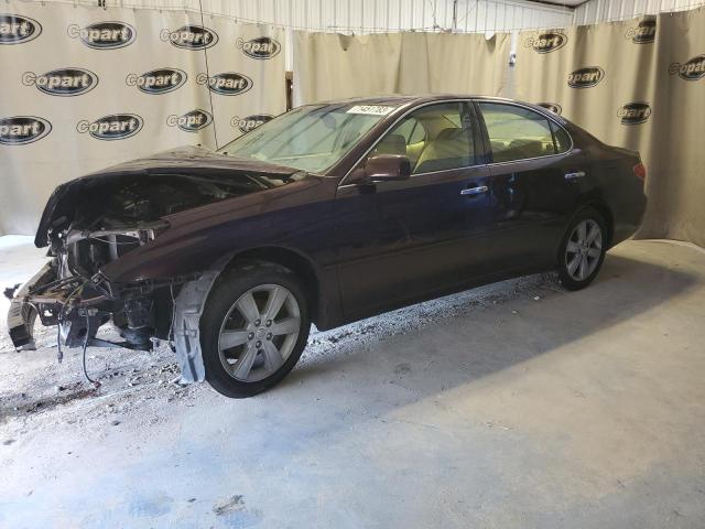 LEXUS ES330 2005 jthba30g755136266