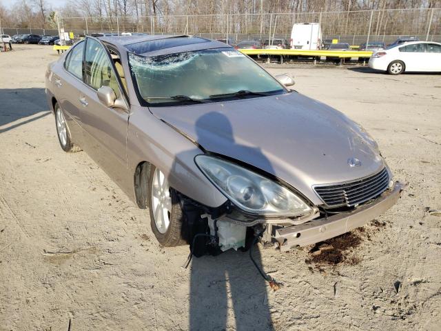 LEXUS ES 330 2006 jthba30g765168801