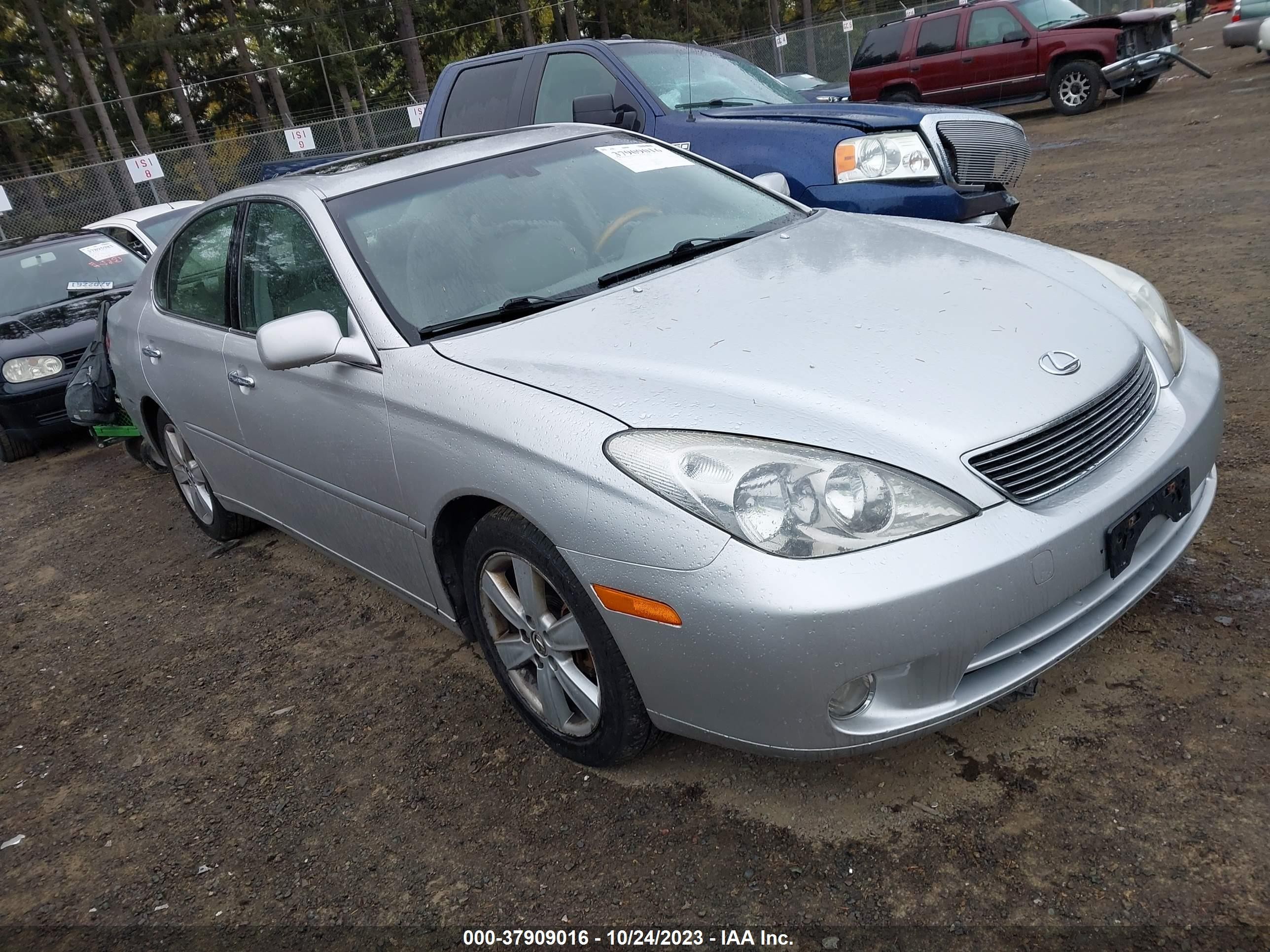 LEXUS ES 2005 jthba30g855111683