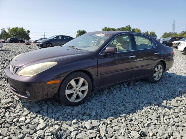 LEXUS ES 330 2005 jthba30g855130153