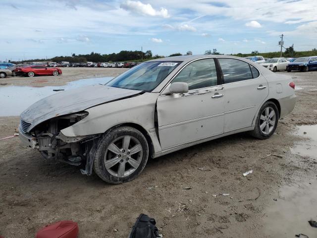 LEXUS ES 330 2006 jthba30g865160545