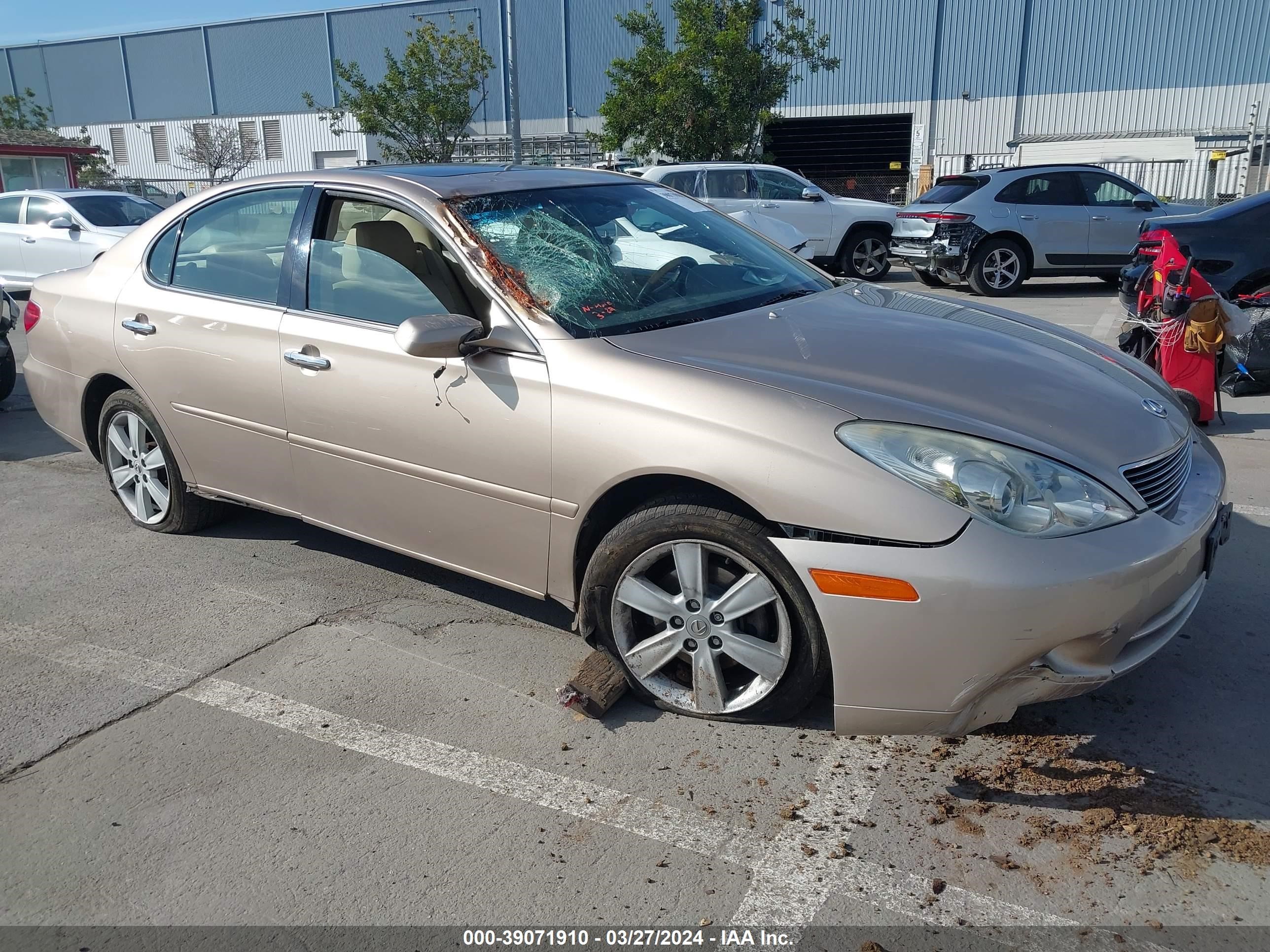 LEXUS ES 2006 jthba30g865161095