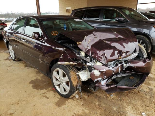 LEXUS ES 330 2006 jthba30g865173389