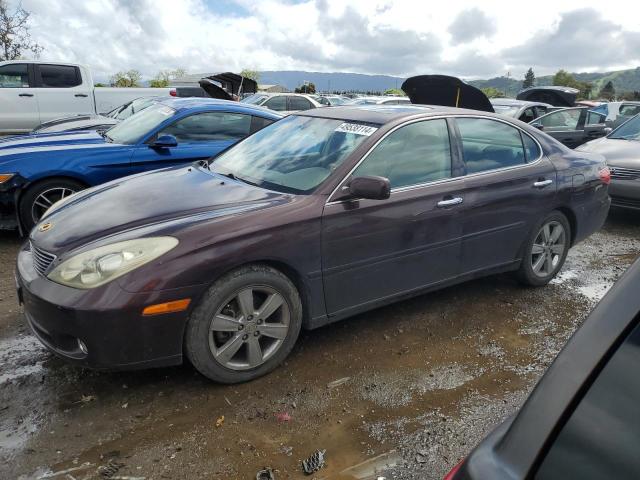 LEXUS ES330 2006 jthba30g865175806