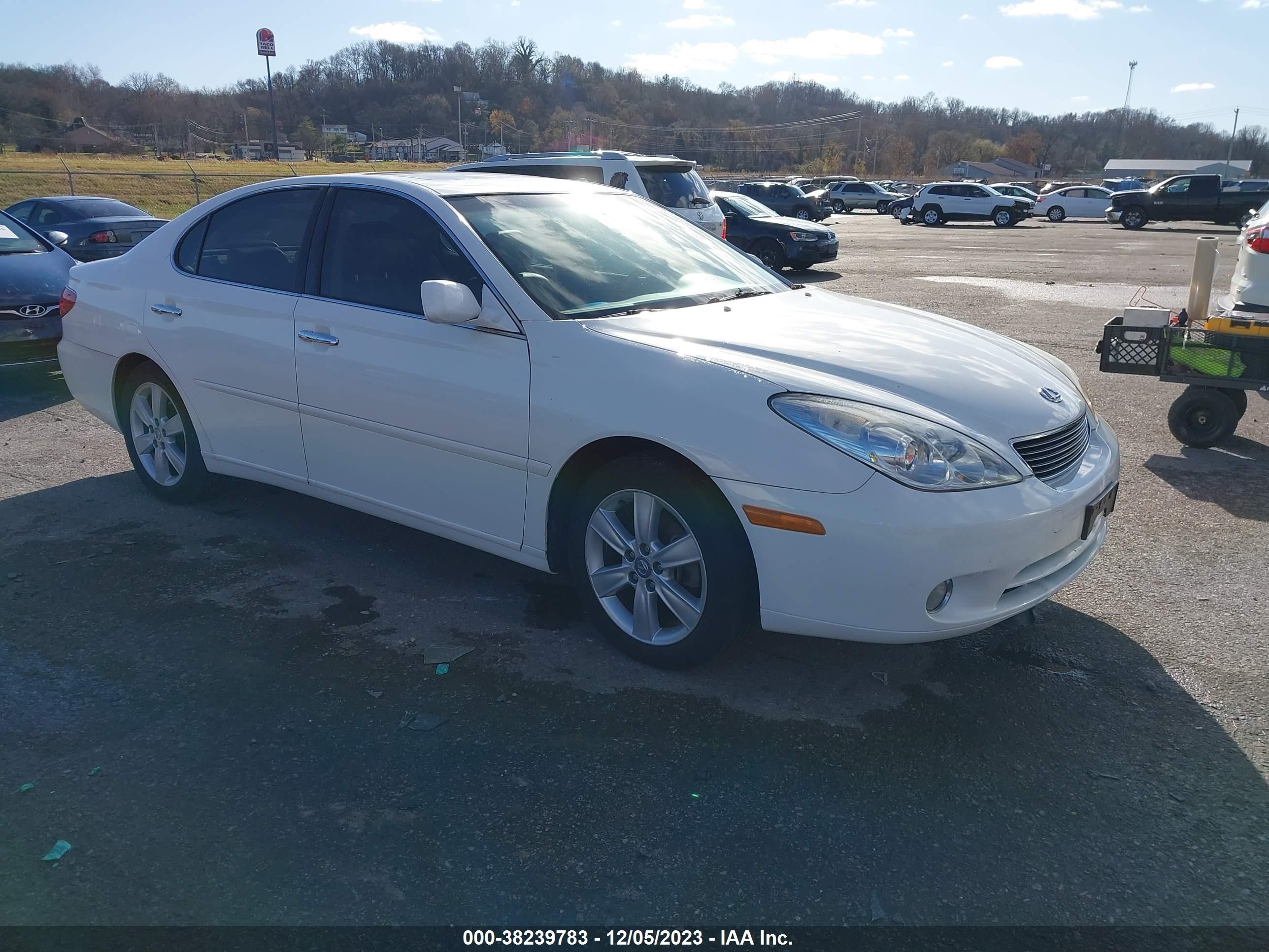 LEXUS ES 2005 jthba30g955079052