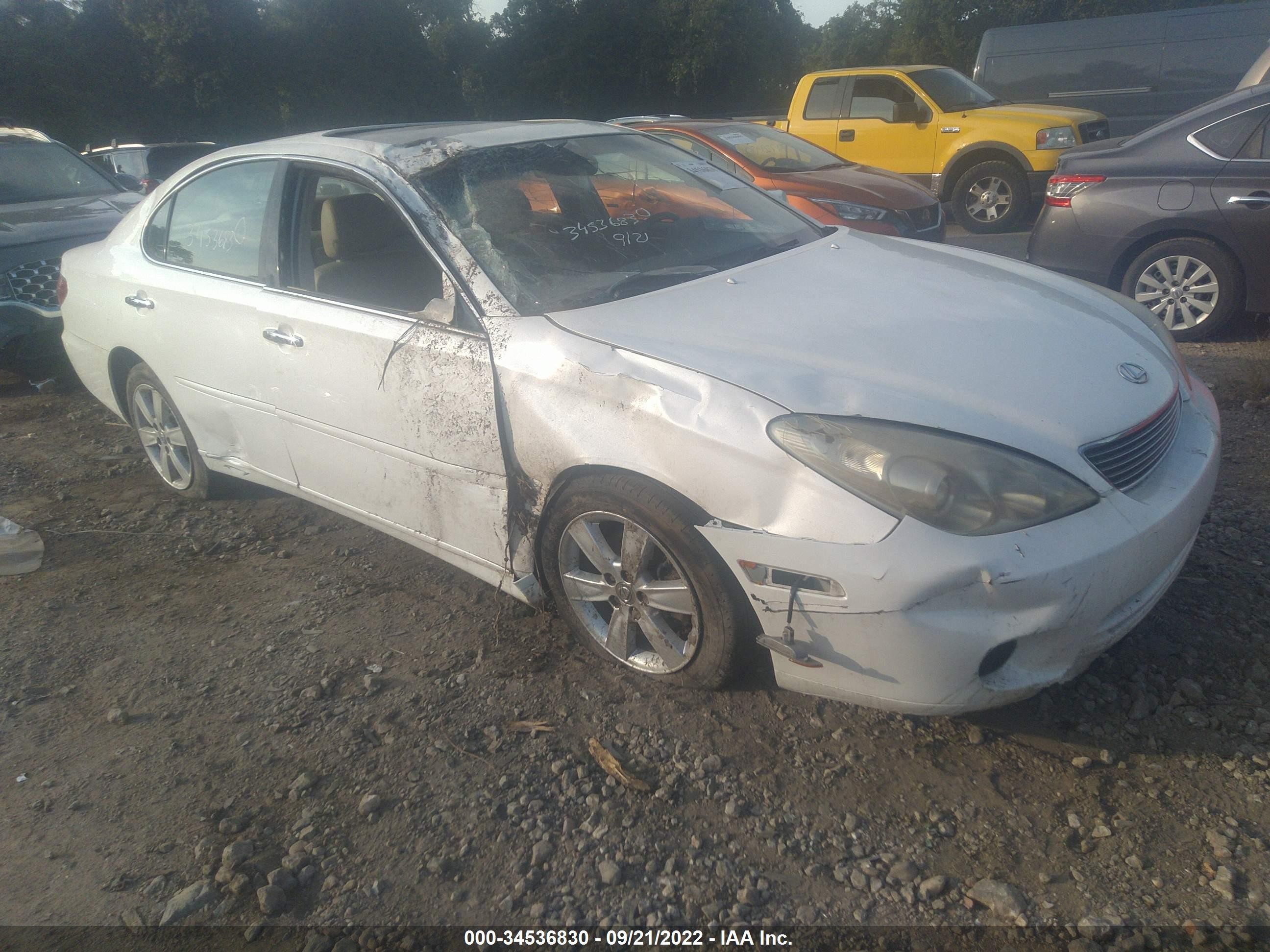 LEXUS ES 2005 jthba30g955089502