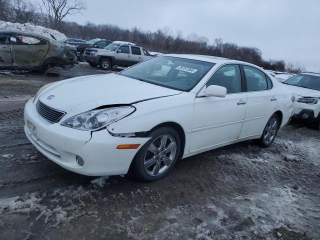 LEXUS ES330 2005 jthba30g955090567