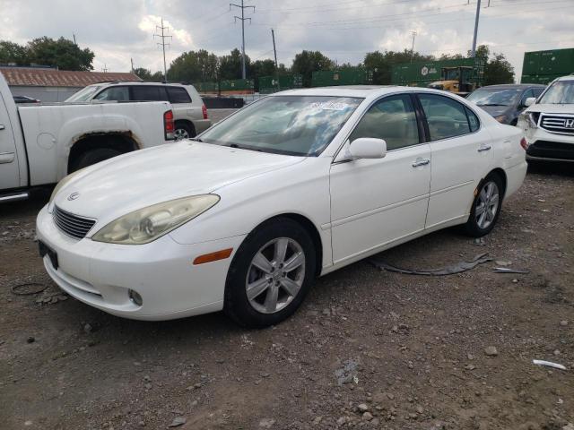 LEXUS ES 330 2005 jthba30g955091931