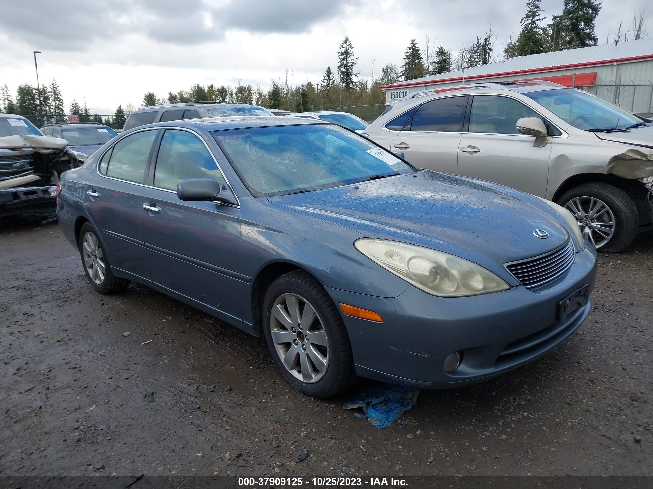 LEXUS ES 2005 jthba30g955110946