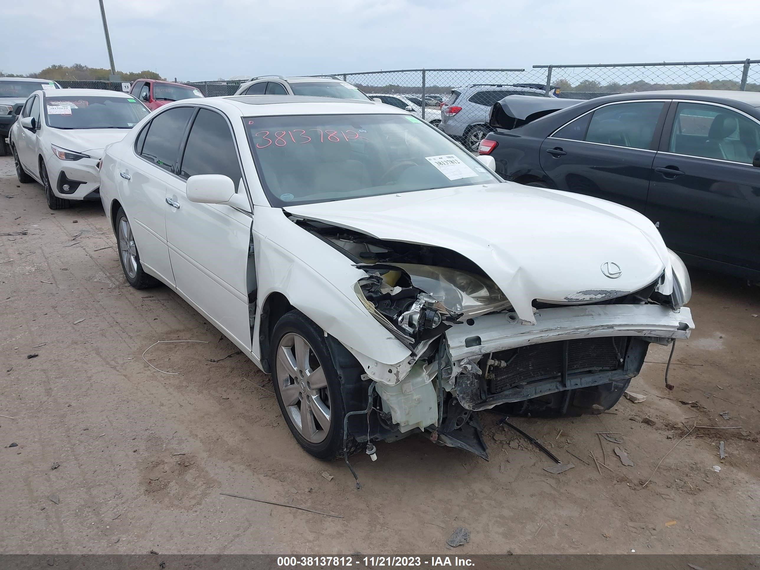 LEXUS ES 2005 jthba30g955113684