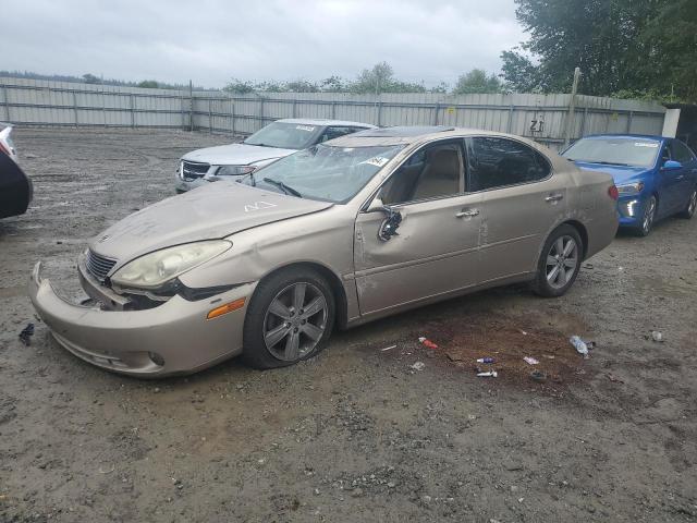 LEXUS ES 330 2005 jthba30g955116844