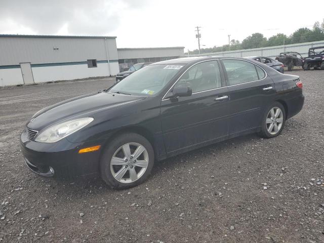 LEXUS ES 330 2005 jthba30g955117816