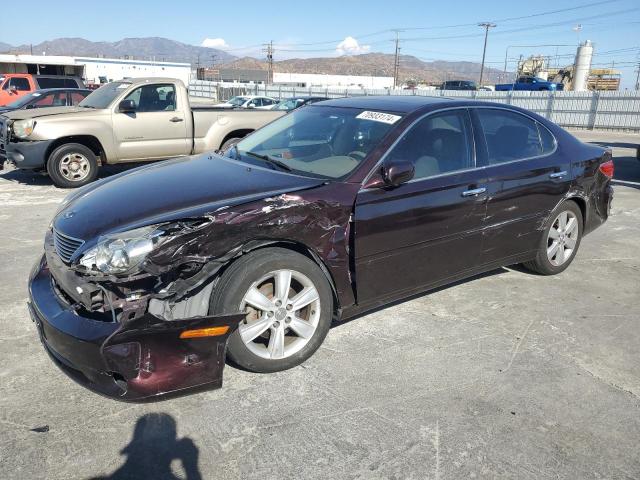 LEXUS ES 330 2005 jthba30g955122756