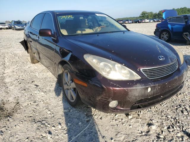 LEXUS ES330 2005 jthba30g955122952