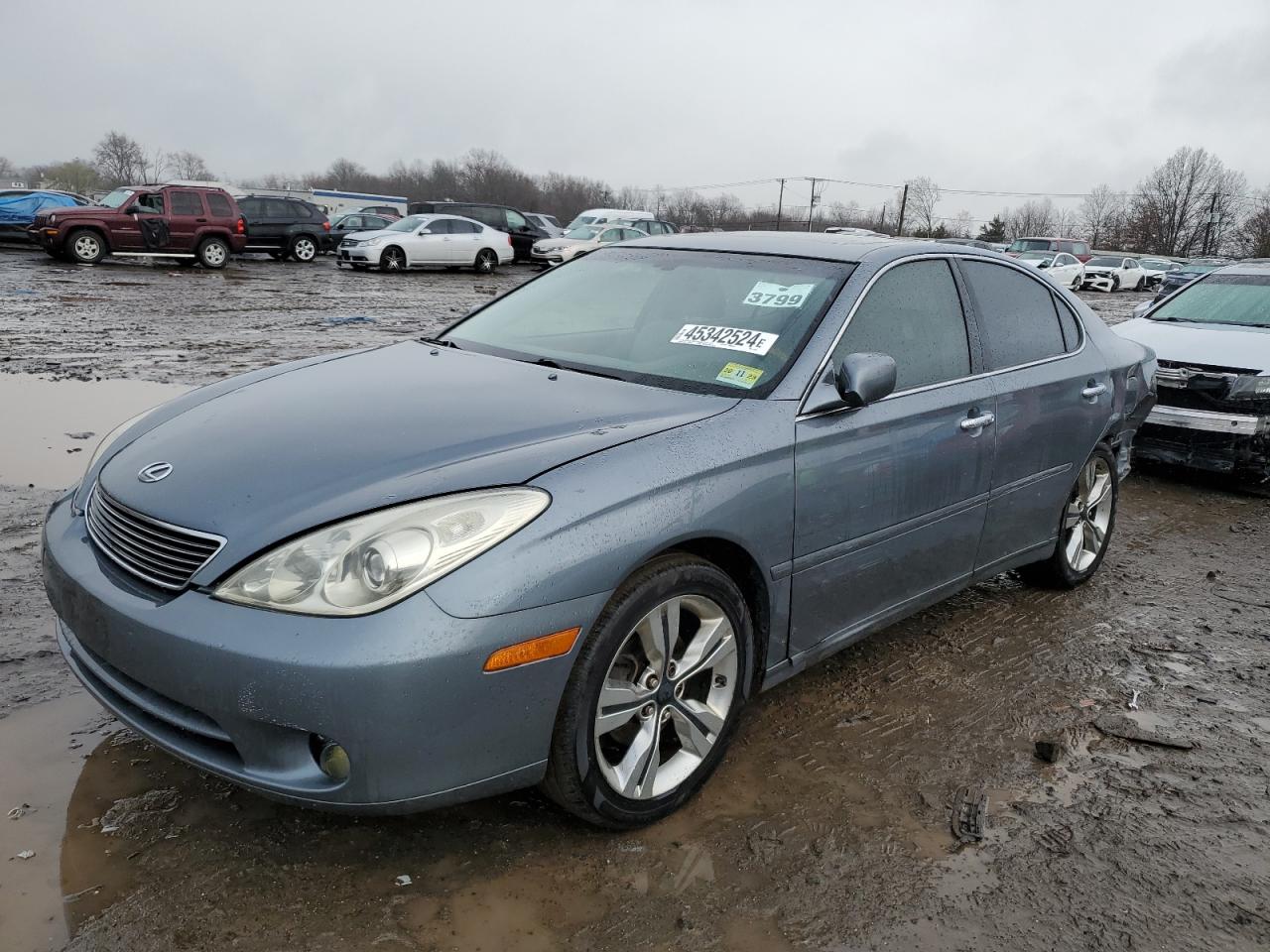 LEXUS ES 2005 jthba30g955128170