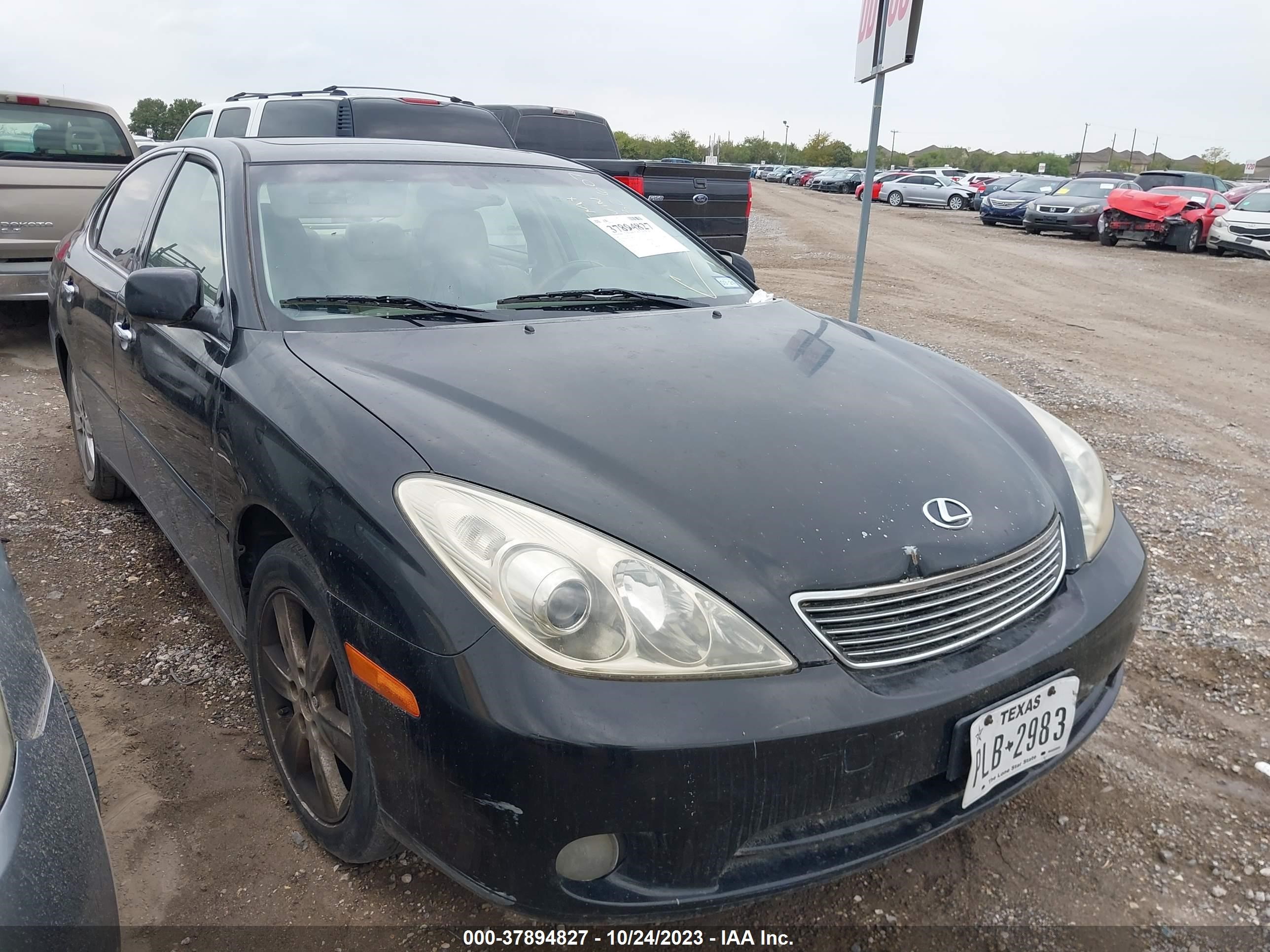 LEXUS ES 2005 jthba30g955132607