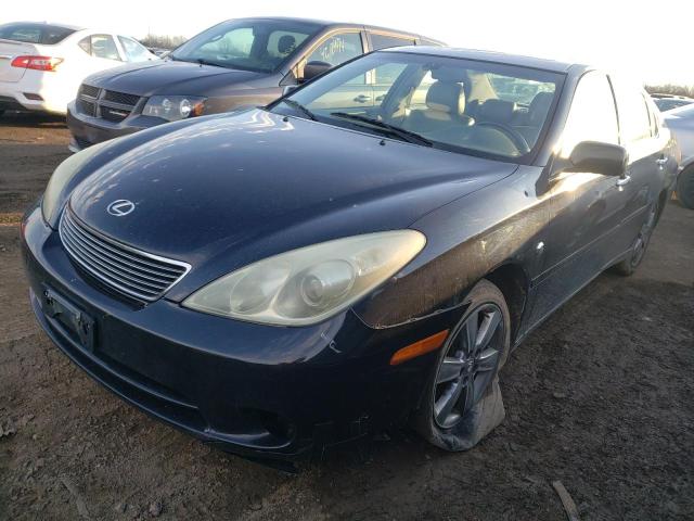 LEXUS ES330 2006 jthba30g965153765