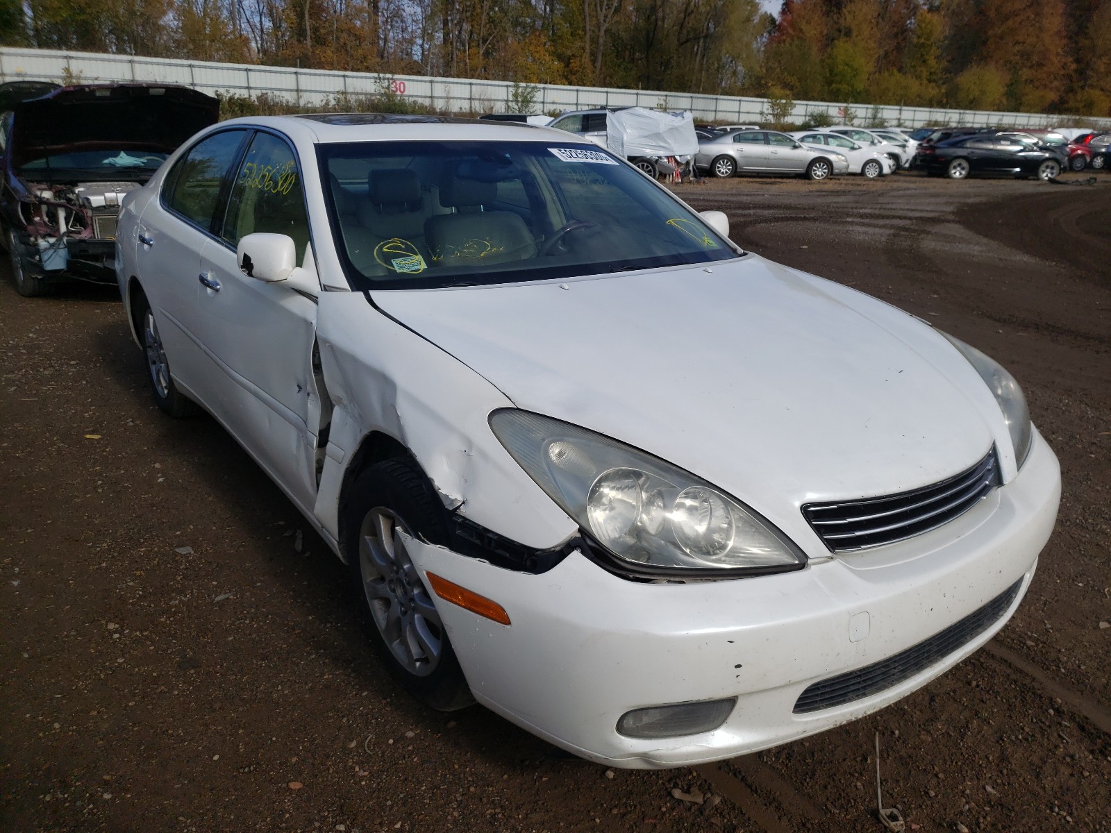 LEXUS ES 330 2004 jthba30gx45026536