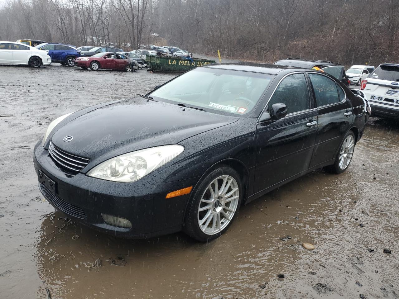 LEXUS ES 2004 jthba30gx45031784