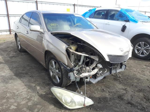 LEXUS ES 330 2005 jthba30gx55056914