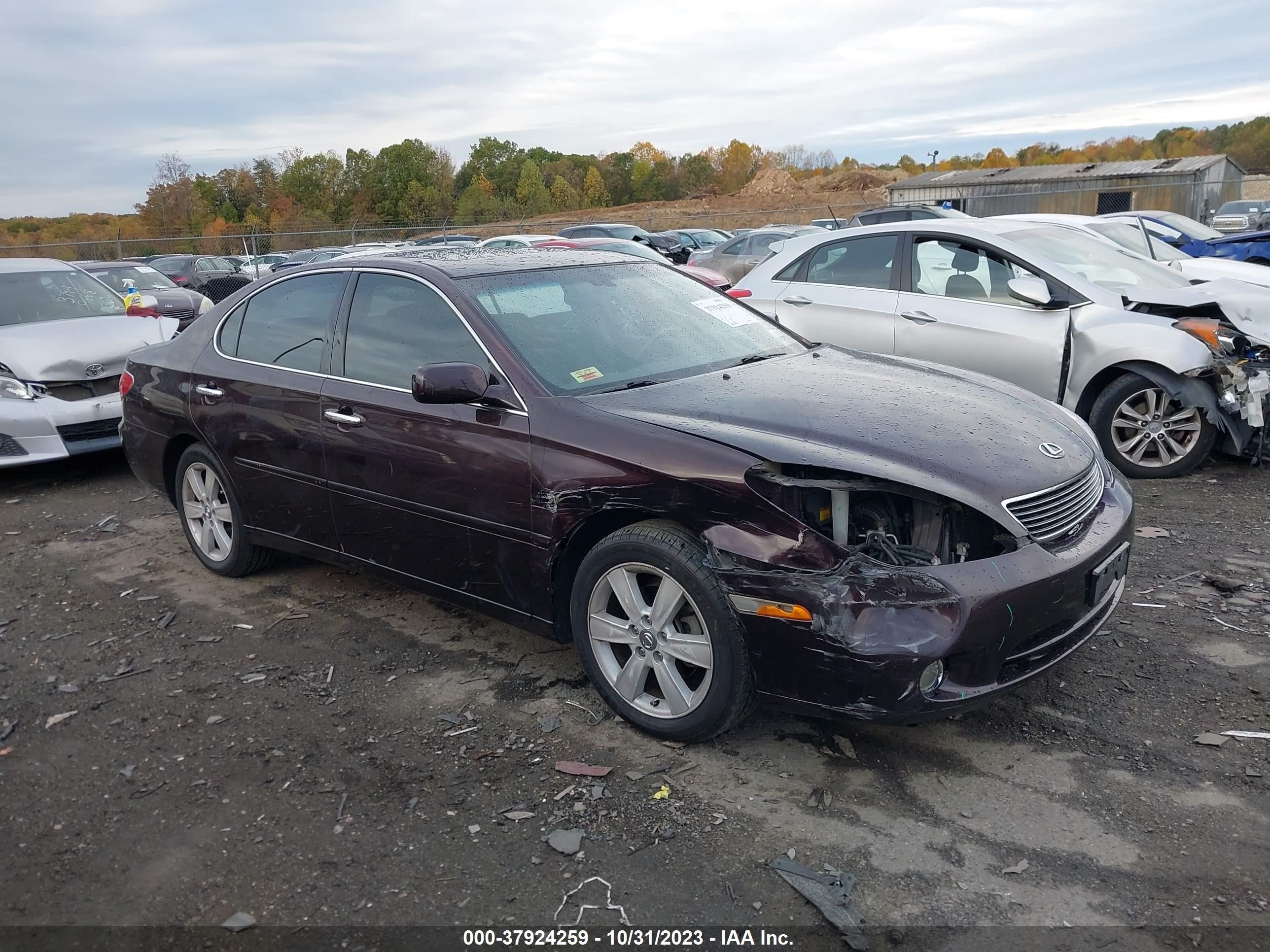 LEXUS ES 2005 jthba30gx55062485