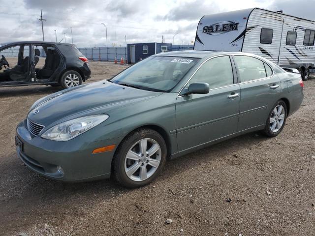 LEXUS ES 330 2005 jthba30gx55071297