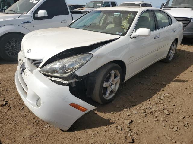 LEXUS ES 330 2005 jthba30gx55071431