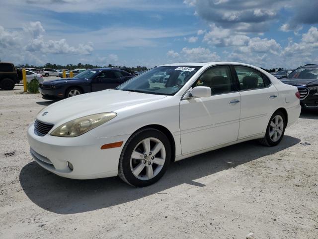 LEXUS ES 330 2005 jthba30gx55120319