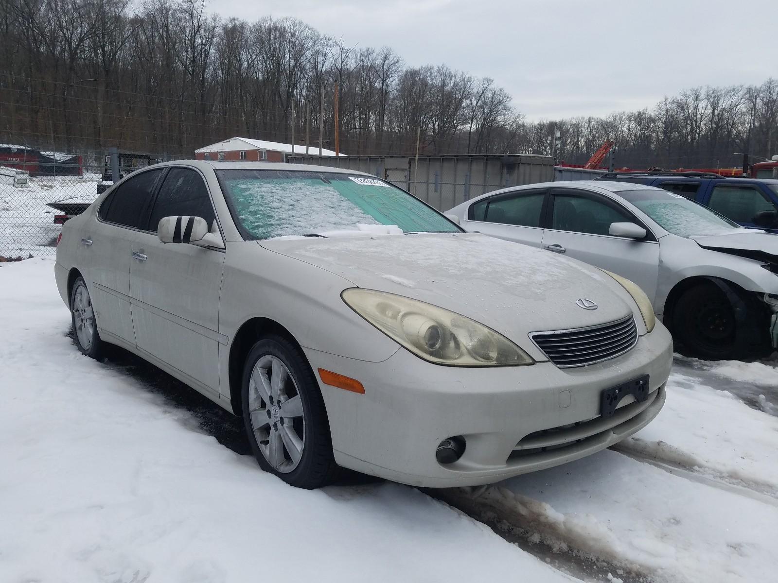 LEXUS ES 330 2005 jthba30gx55131207