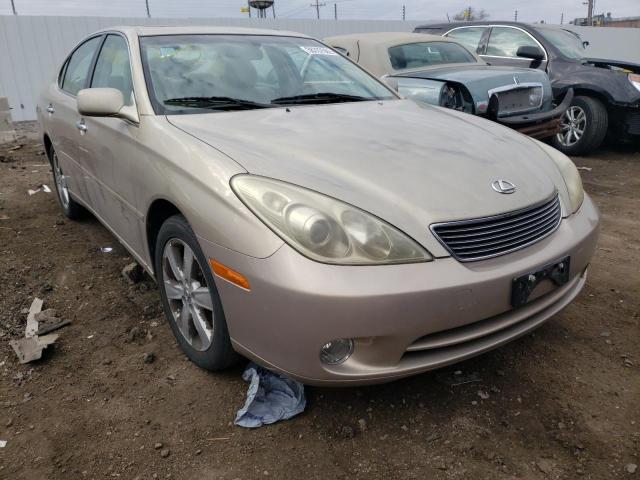 LEXUS ES 330 2005 jthba30gx55136035