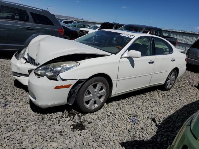 LEXUS ES330 2006 jthba30gx65162815