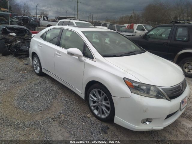 LEXUS HS 250H 2010 jthbb1ba0a2011082