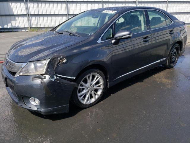 LEXUS HS 250H 2010 jthbb1ba0a2017397