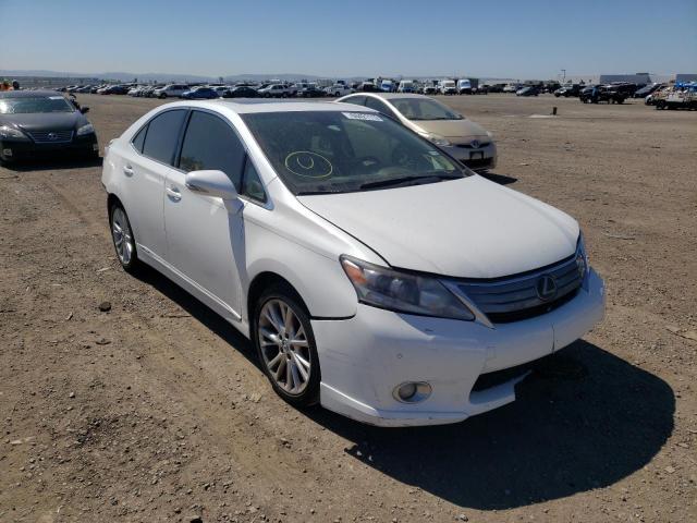 LEXUS HS 250H 2010 jthbb1ba0a2019392