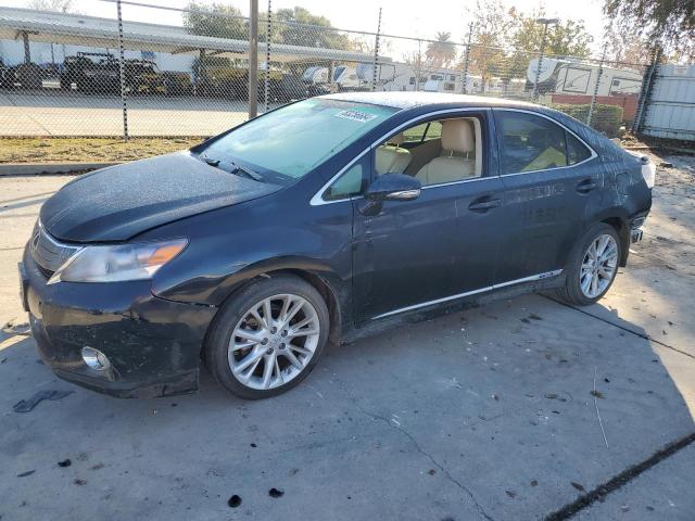 LEXUS HS 250H 2010 jthbb1ba1a2014489