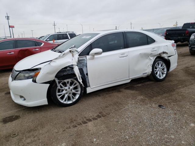 LEXUS HS 250H 2010 jthbb1ba1a2019787