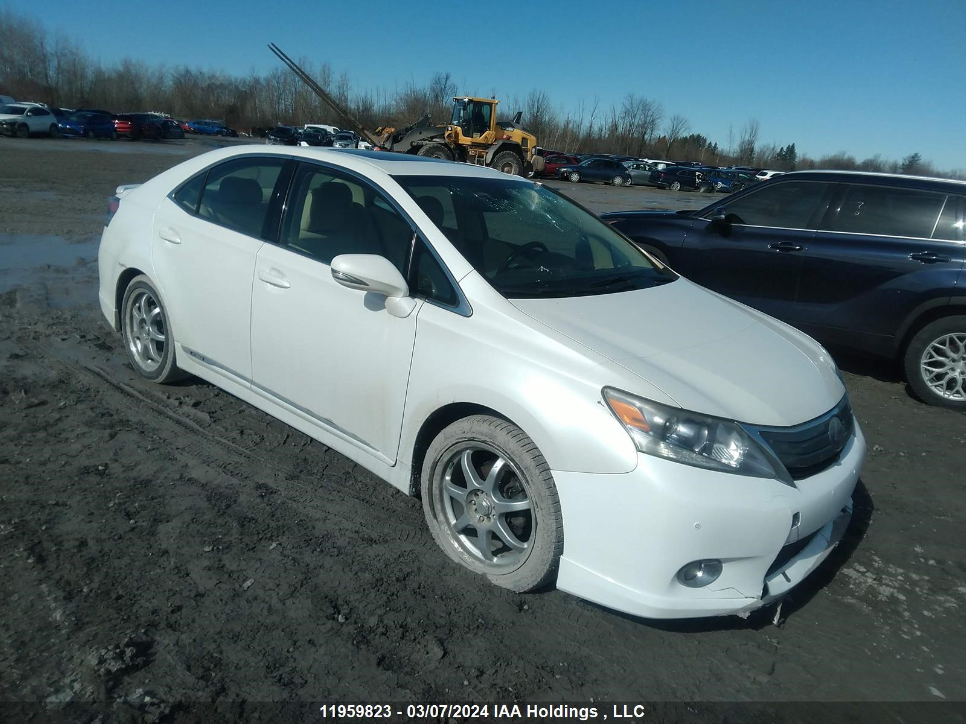 LEXUS HS 2010 jthbb1ba1a2020681