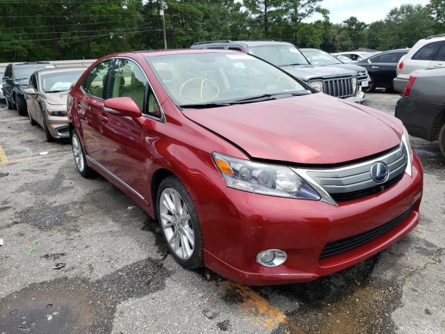 LEXUS HS 250H 2010 jthbb1ba1a2032555