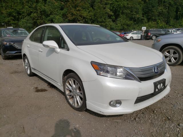 LEXUS HS 250H 2010 jthbb1ba1a2037125