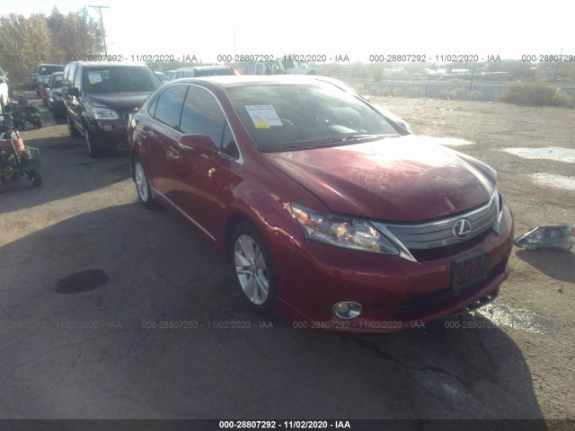 LEXUS HS 250H 2011 jthbb1ba1b2043721