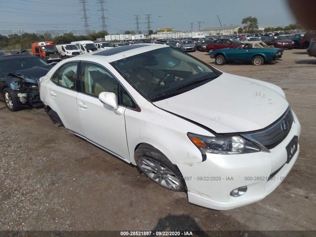 LEXUS HS 250H 2010 jthbb1ba2a2006367