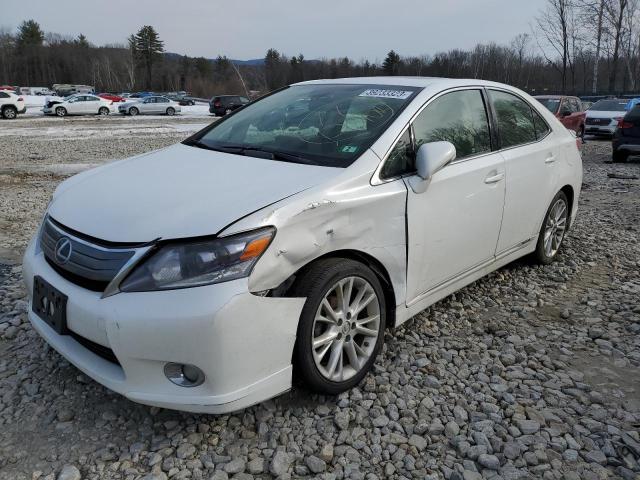 LEXUS HS 250H 2010 jthbb1ba2a2011679