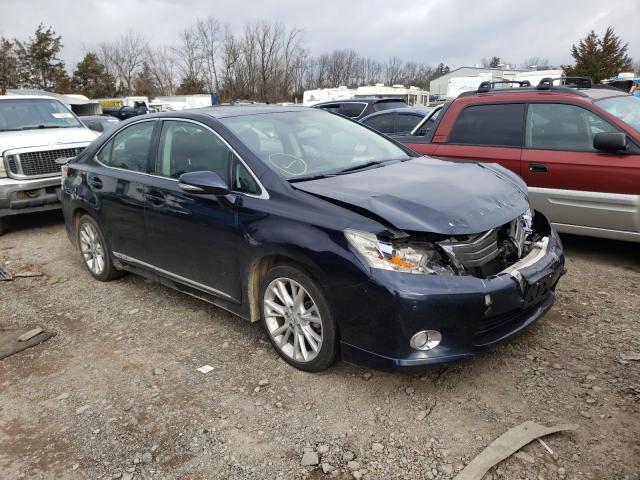 LEXUS HS 250H 2010 jthbb1ba2a2014839