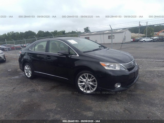 LEXUS HS 250H 2010 jthbb1ba2a2027459