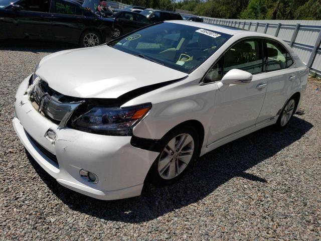 LEXUS HS 250H 2010 jthbb1ba2a2031219