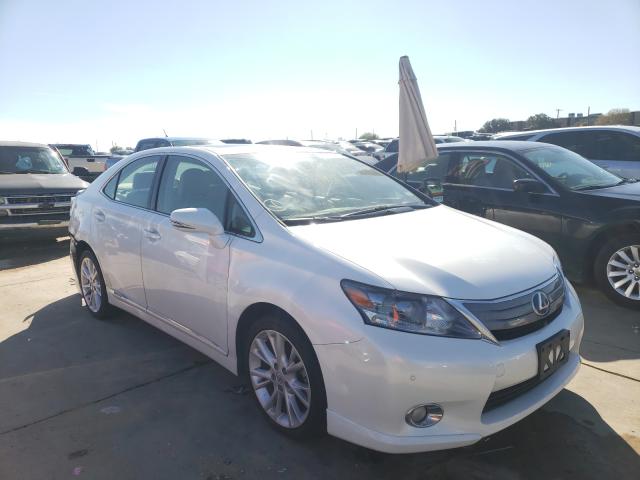 LEXUS HS 250H 2010 jthbb1ba2a2036355